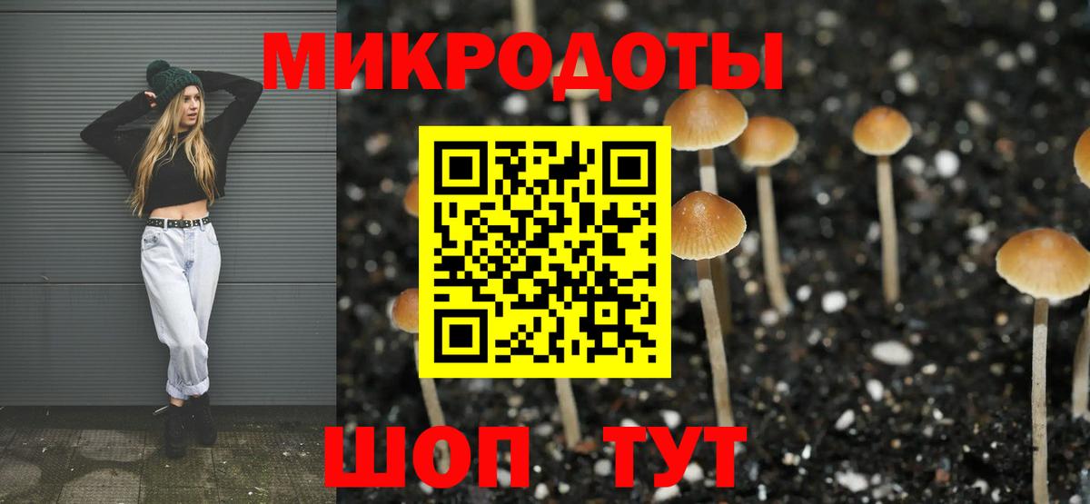 Псилоцибиновые грибы Cubensis  как найти   Фрязино  Вход с VPN  Псилоцибиновые грибы ЛСД 